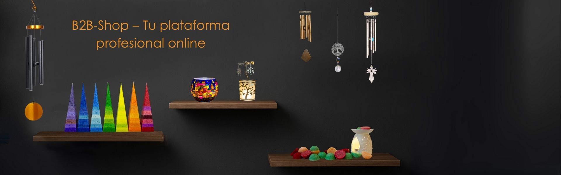 minisite titel(9).jpg