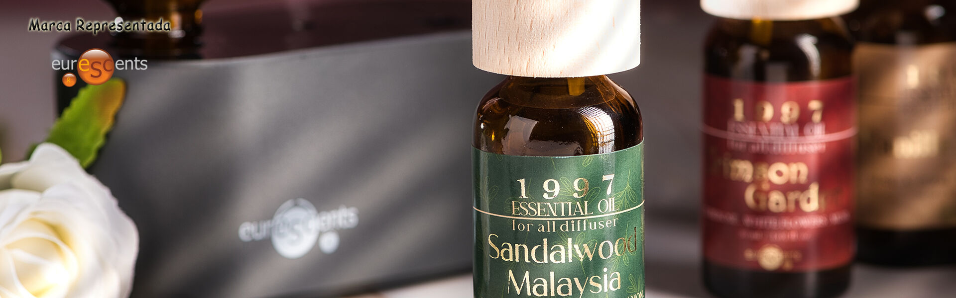 euroscents 2025.03.jpg