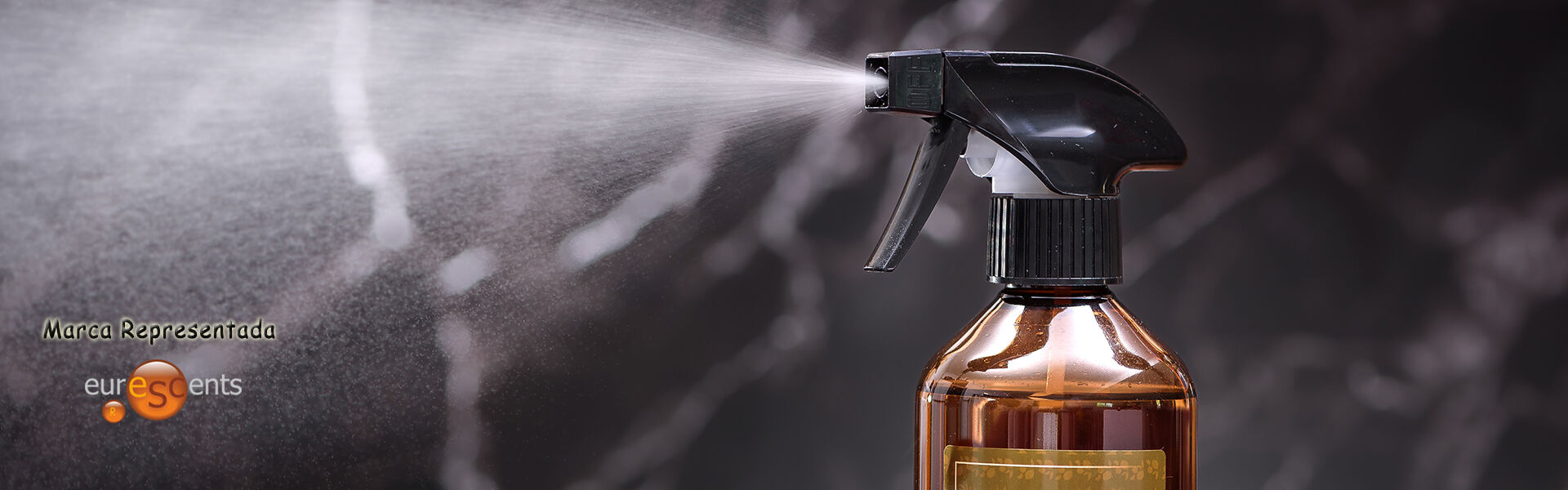 euroscents 2025.06.jpg