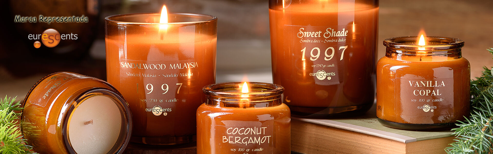 euroscents 2025.07.jpg