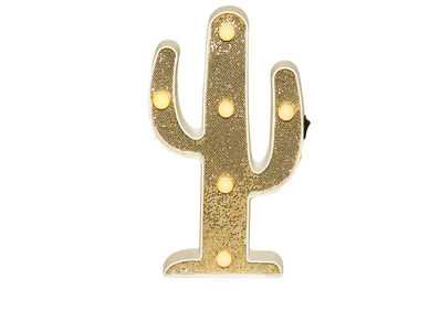 khiam-11-cactus-190111164057.jpg